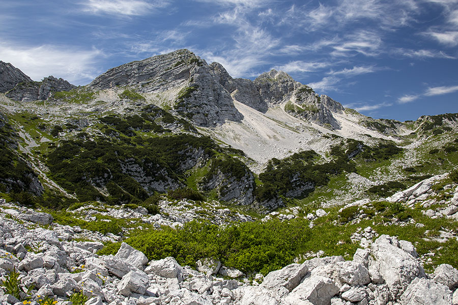 Podrta gora
Podrta gora nekje nad planino Za Migovcem.
Ključne besede: podrta gora planina za migovcem