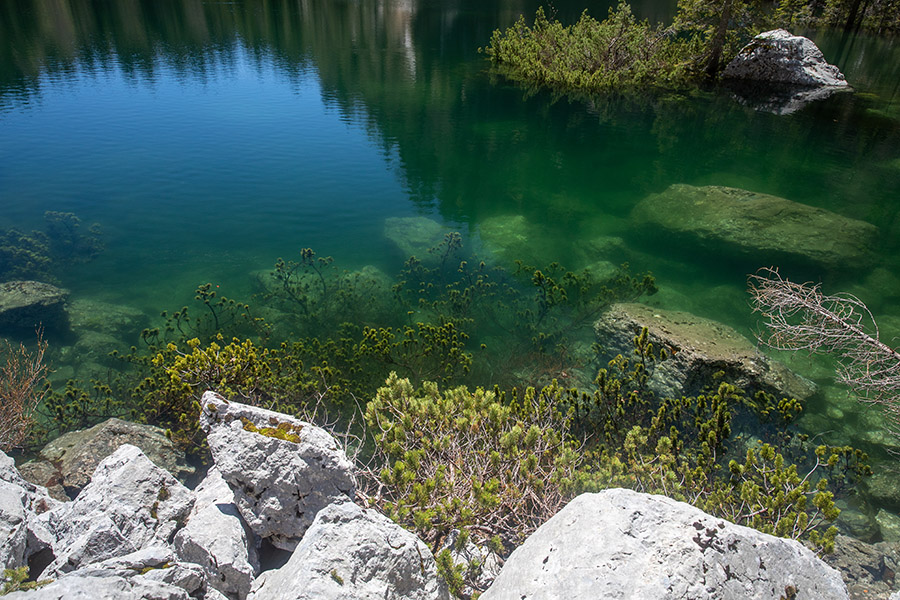 Potopljeno rušje
Gladina Črnega jezera je precej narasla. Pod vodo je tudi ruševje.
Ključne besede: komarča črno jezero