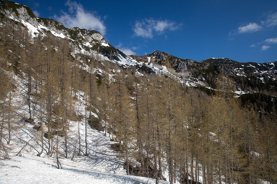 Mrežve in Lipanski vrh
Pot do planine Lipanca je prehodna 1/2 po kopnem, 1/2 po snegu. Naprej nad kočo je le še sneg.
Ključne besede: planina lipanca mrežce lipanski vrh