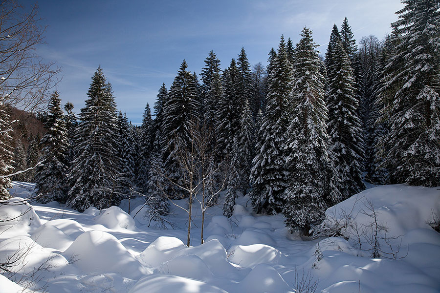 Planina za Črno goro
Snega letos ni veliko, so pa balvani vseeno lepo zaliti.
Ključne besede: planina za črno goro