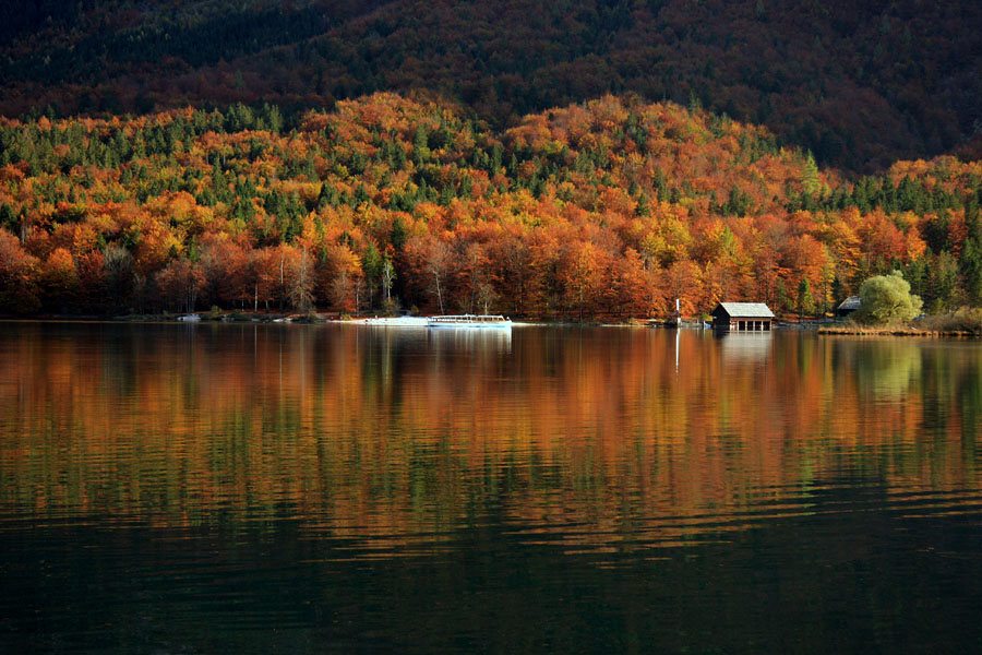 Jesen ob jezeru
Jesen ob Bohinjskem jezeru.
Ključne besede: bohinj jesen bohinjsko jezero