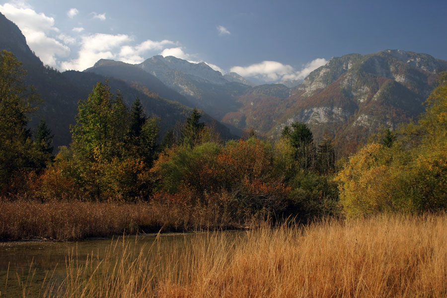 Jesen v Ukancu
Kraj kjer priteče Savica v Bohinjsko jezero.
Ključne besede: ukanc bohinjsko jezero