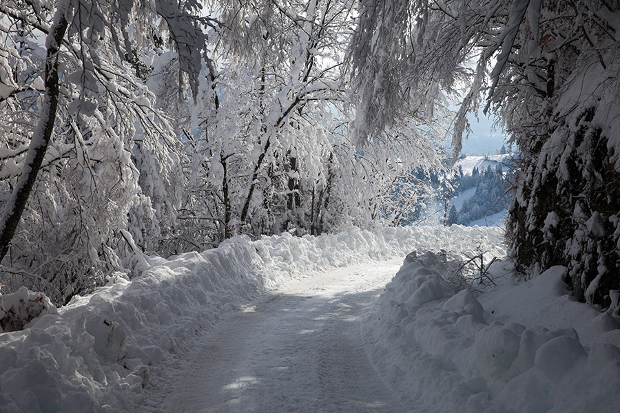 Cesta na Uskovnico
Zimska idila s ceste proti Uskovnici.
Ključne besede: bohinj zgornja bohinjska dolina uskovnica