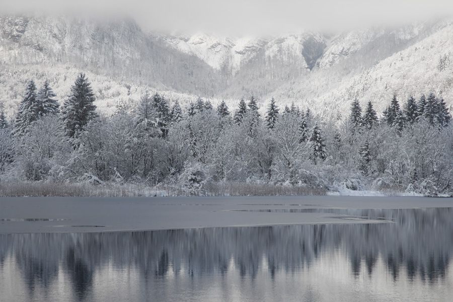 Bohinjsko jezero VI.
Nov sneg in megle. V Ukancu.
Ključne besede: bohinj bohinjsko jezero ukanc