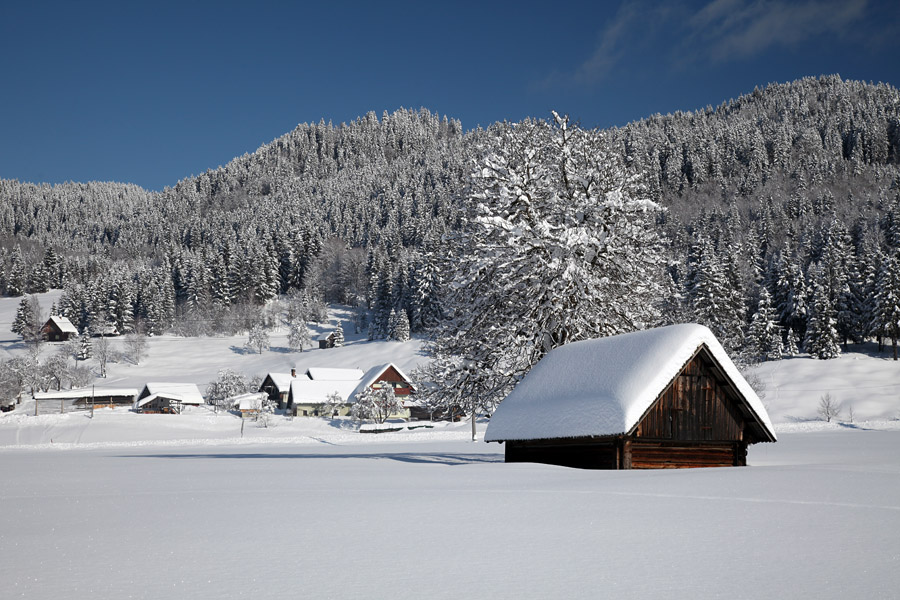 Zima na Gorjušah
Zima v vasi Gorjuše v Bohinju.
Ključne besede: gorjuše bohinj