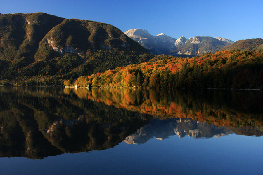 Jesen ob jezeru I.
Jesen ob Bohinjskem jezeru.
Ključne besede: bohinj jezero