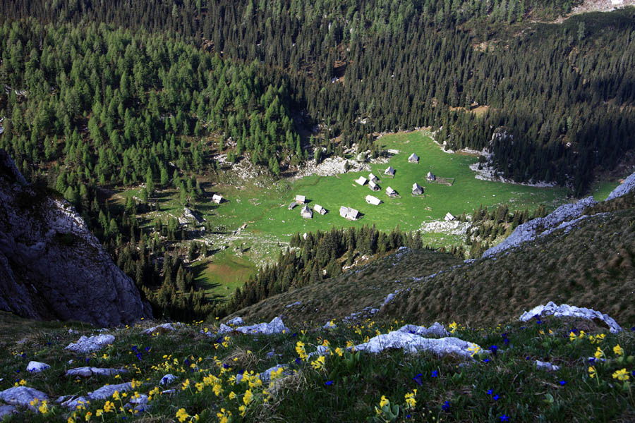 Pogled v Laz
Pogled v planini Laz z Ogradov.
Ključne besede: planina v lazu ogradi