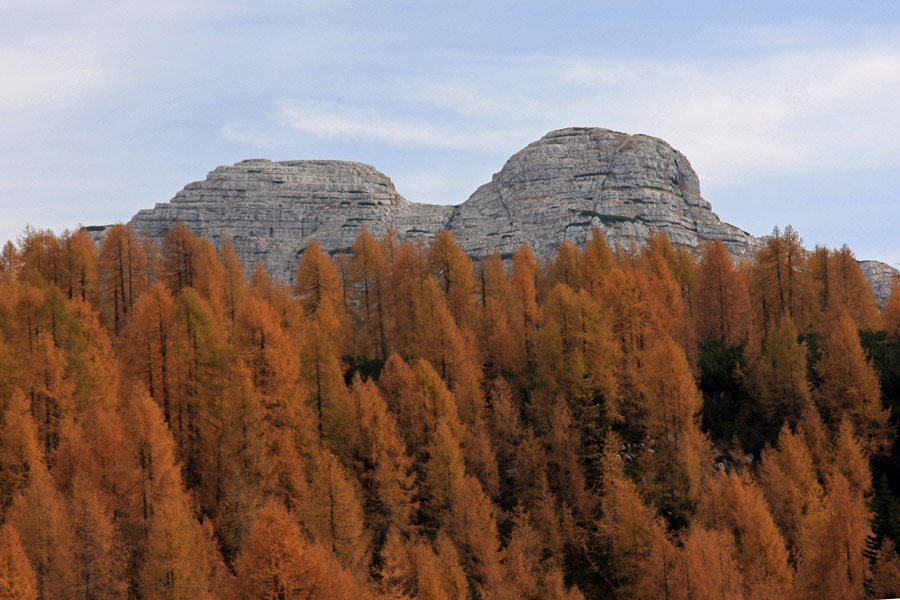 Dvoglavi Kal
Dvoglavi Kal nad macesni. Za vrh se šteje desni vrh, levi je par metrov nižji. Kal je najnižji dvatisočak v Sloveniji (2001m).
Ključne besede: kal planina za skalo travniška dolina