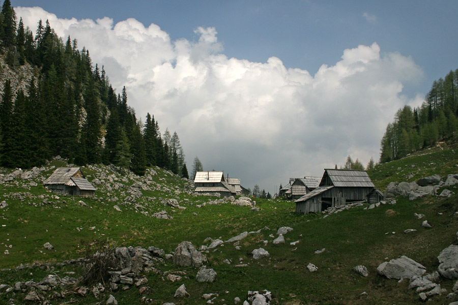 Na planini Viševnik
Planina Viševnik v pomladni obleki.
Ključne besede: planina viševnik