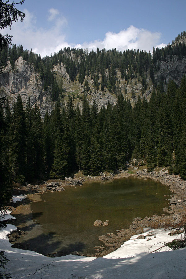 Presihajoče jezero
Ko se vračamo s planine Viševnik proti Črnemu jezeru ozr. Komarči, streljaj od poti naletimo na presihajoče jezero. V Dolu pod Studorjem,  na višini nekaj čez 1400m. Zelo me spominja na jezero na planini pri jezeru, je pa seveda precej manjše.
Ključne besede: planina viševnik črno jezero komarča dol pod studorjem presihajoče