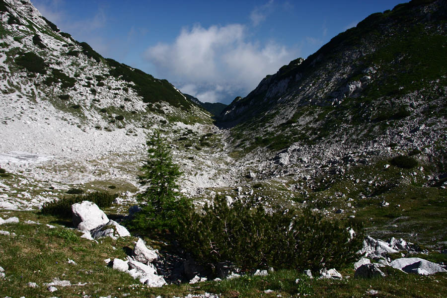 Matajurc
konta pod matajurskim vrhom. V vrtači desno je spomladi, ko se topi sneg malo jezero.
Ključne besede: matajurc matrajurski vrh