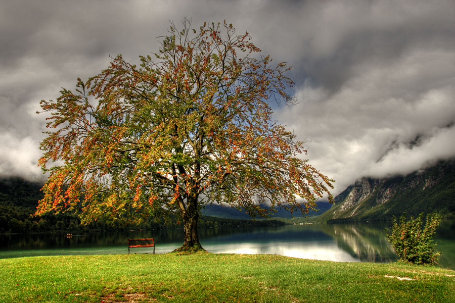 Čakajoč jesen
Pričakovanje jeseni ob Bohinjskem jezeru.
Ključne besede: bohinjsko jezero jesen bohinj