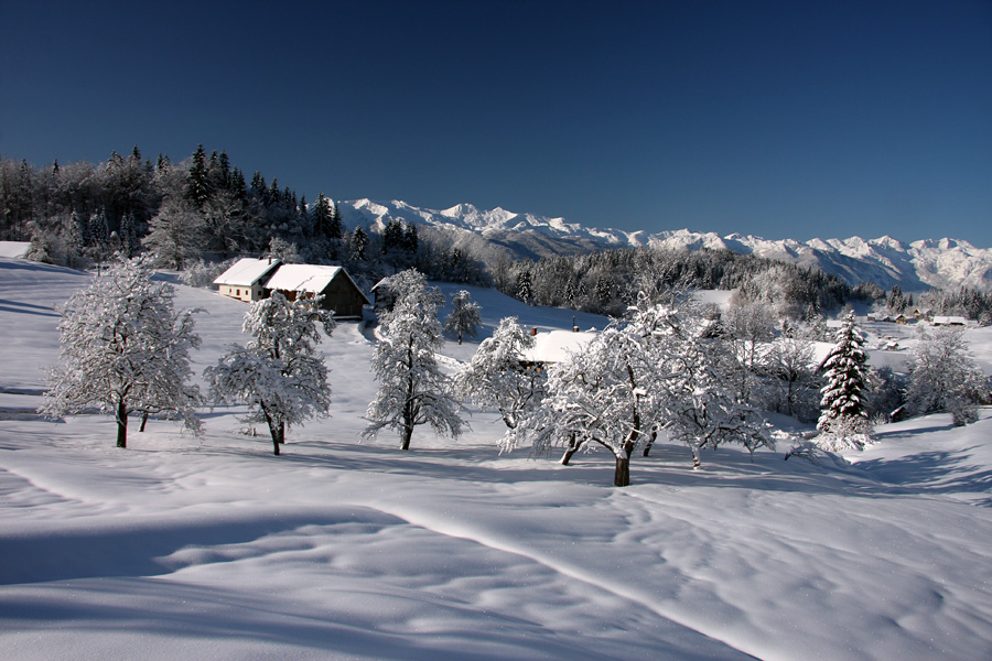 Zima na Koprivniku IV.
Pogled nazaj proti vasi.
Ključne besede: koprivnik bohinj