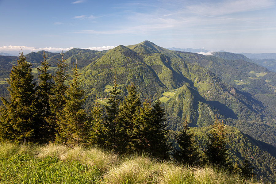 Porezen
Porezen s poti na Slatnik,
Ključne besede: porezen slatnik