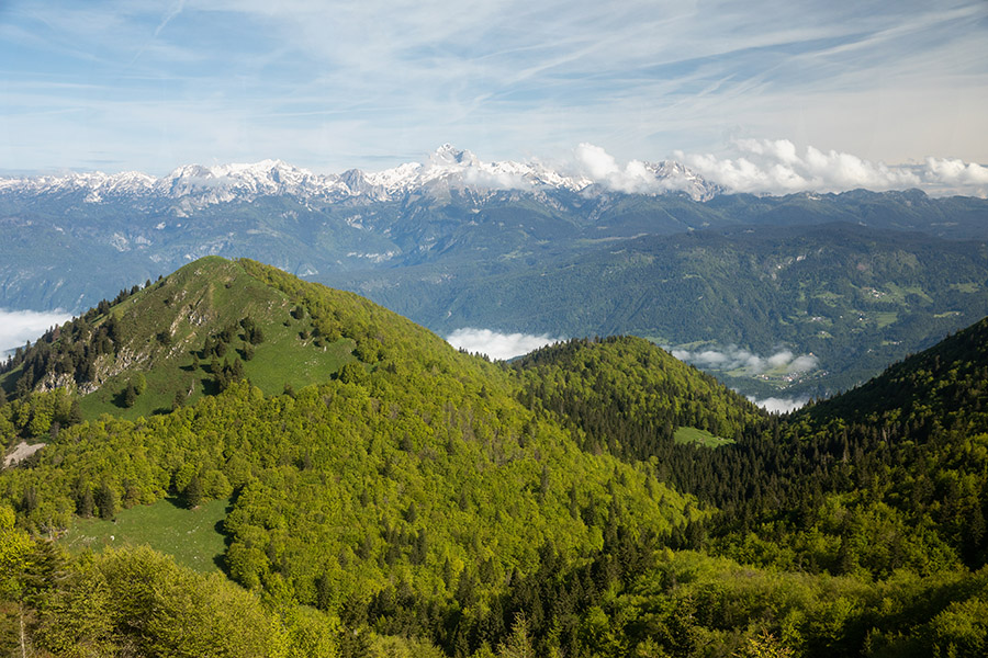 Šavnik
Šavnik s Slatnika.
Ključne besede: šavnik slatnik gore nad soriško planino