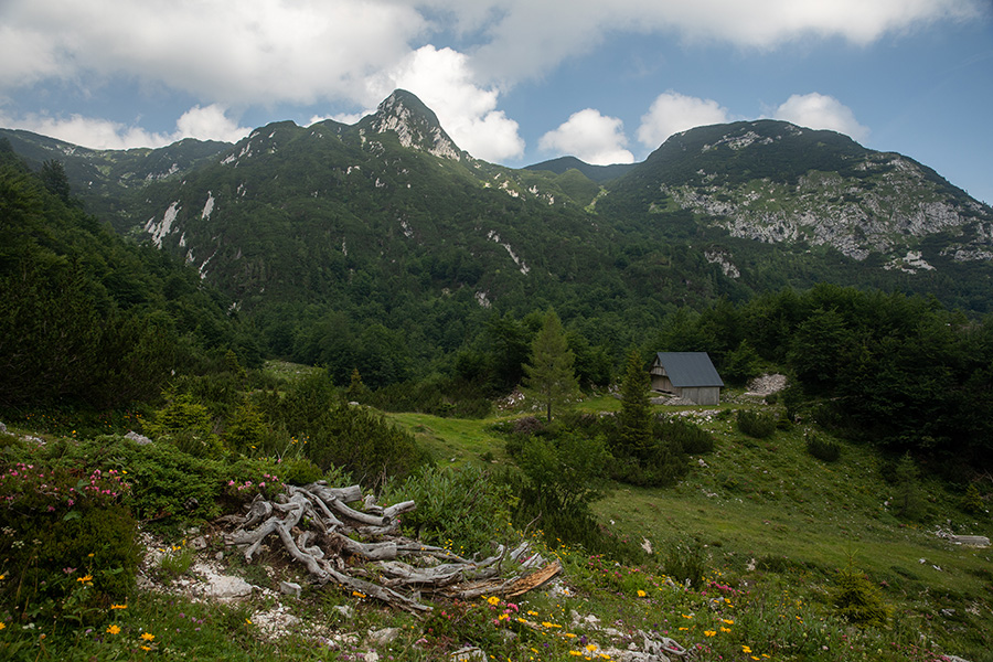 Planina Suha
Zgornji del planine Suha.
Ključne besede: planina suha