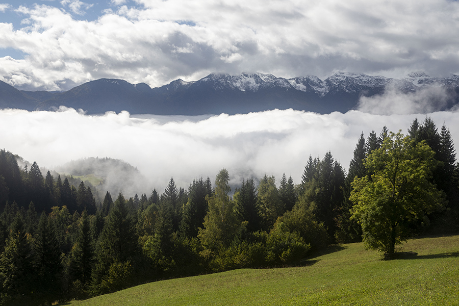 Megle
Z vasi Zgornje Podjelje
Ključne besede: zgornjr podjelje bohinj