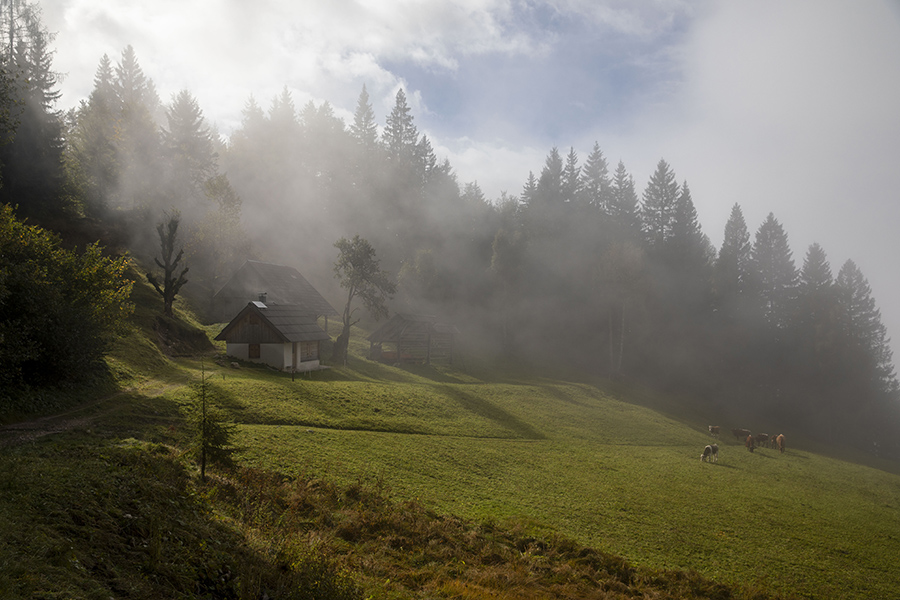 V meglicah
Proti Pokrovcu.
Ključne besede: zgornje podjelje pokrovc bohinj