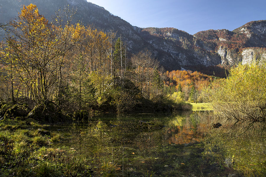 Presihajoče jezero
Presihajoče jezero v Ukancu.
Ključne besede: presihajoče jezero ukanc bohinj