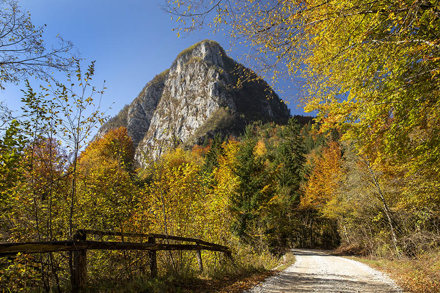 Studor
Studor jeseni.
Ključne besede: studor bohinj