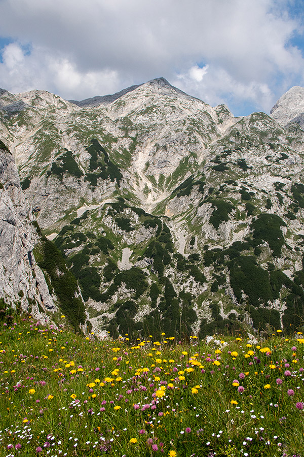 S Krede
S Krede. Proti Zadnjemu Voglu.
Ključne besede: kreda zadnji vogel