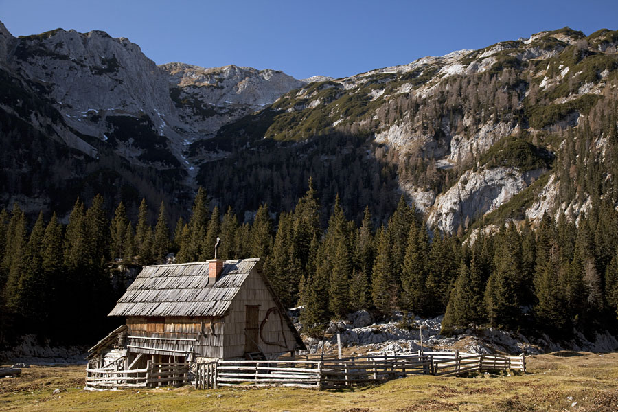 Laz II.
Idilični stan na planini v Lazu.
Ključne besede: planina v lazu