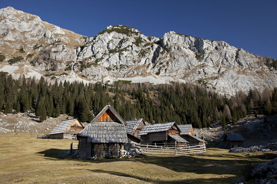 Laz III.
Planina v Lazu. Igorju pa hvala za "okrepčilo".
Ključne besede: planina v lazu