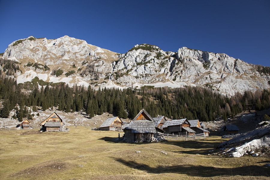 Laz I.
Planina v lazu.
Ključne besede: planina v lazu ogradi