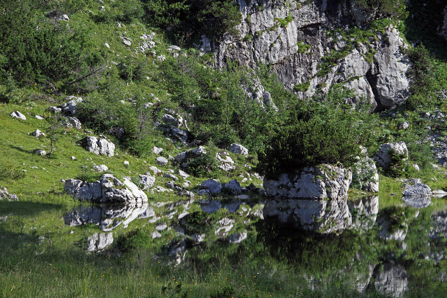 Presihajoče jezero III.
Zaradi obilice dežja je presihajoče jezero na Malem polju precej veliko.
Ključne besede: malo polje presihajoče jezero