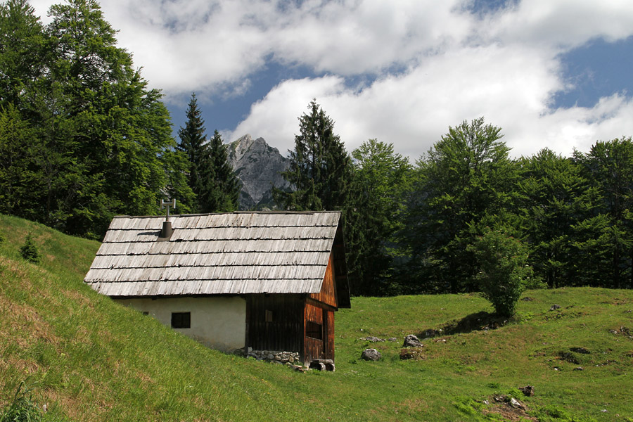 Sirarna na planini Zgornja Grintovica
Zapuščena sirarna na planini Zgornja Grintovica.
Ključne besede: planina zgornja grintovica