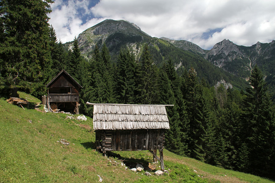 Planina Zgornja Grintovica
Planina Zgornja Grintovica.
Ključne besede: planina zgornja grintovica