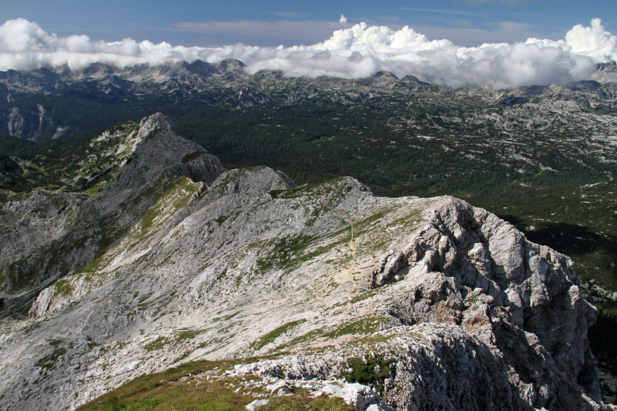 Z Male Zelnarice
Z male Zelnarice proti Kopici in Tičaricam.
Ključne besede: mala zelnarica kopica tičarica