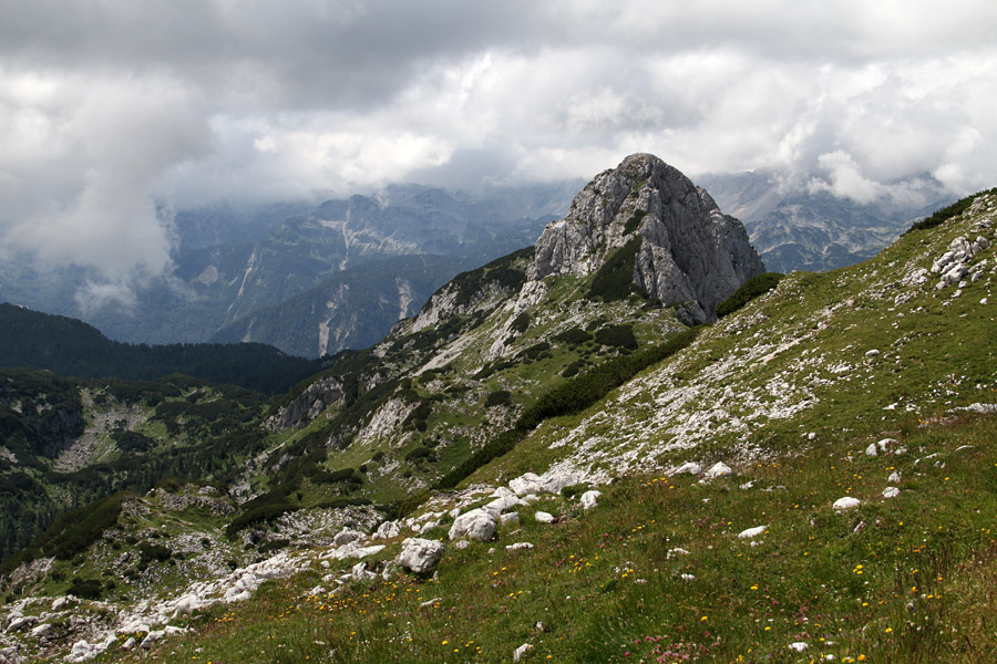 Velika Tičarica
Velika Tičarica izpod Kopice.
Ključne besede: velika tičarica kopica