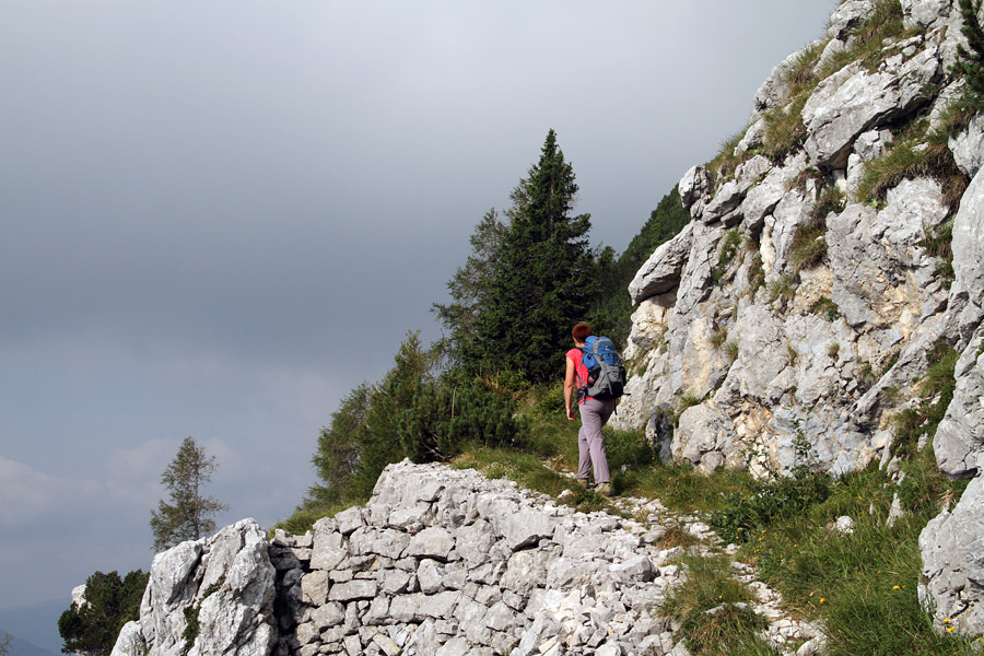 Pot na Rombon
Pot proti Rombonu. Pot na Rombon je zelo dolga. Izhodišče v Klužah je visoko 522m, Rombon pa 2208. Torej je nekako tako, kot bi šel z Vrat na Škrlatico. Nama je v zgornjem delu nagajala megla, a je markacij dovolj za varno pot.
Ključne besede: rombon