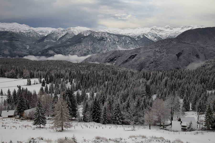 Z Uskovnice IX.
V oblačnem vremenu.
Ključne besede: uskovnica južne bohinjske gore