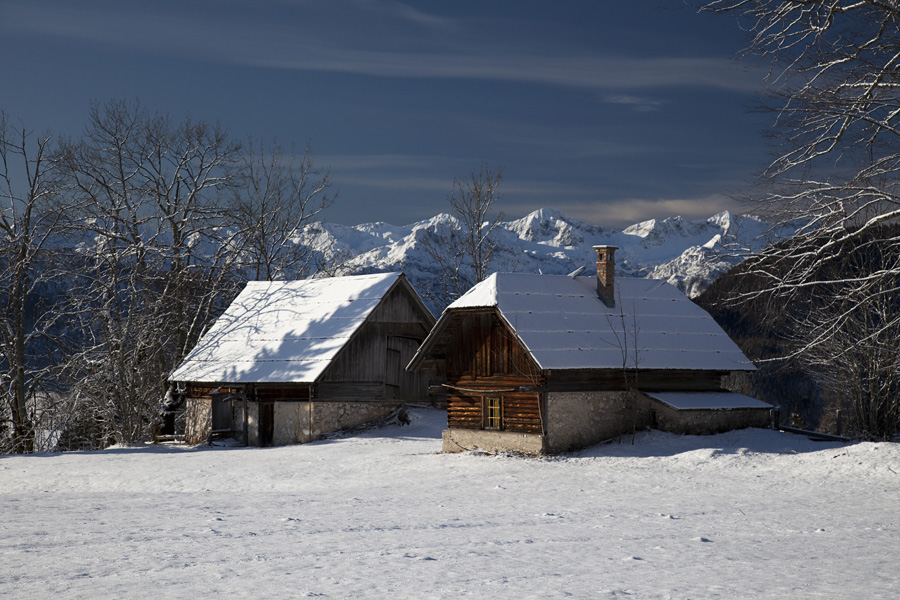 Z Uskovnice III.
Uskovnica in Južne Bohinjske gore.
Ključne besede: uskovnica južne bohinjske gore