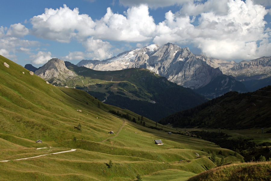 Travnik z Marmolado
Širni travniki in v ozadju v večni sneg in led odeta Marmolada. Nad sedlom Passo Sella.
Ključne besede: marmolada passo sella