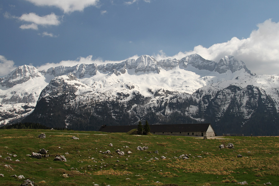 Na planini Pecol II.
Planina Pecol z zasneženimi Kaninskimi gorami.
Ključne besede: planina pecol kaninske gore