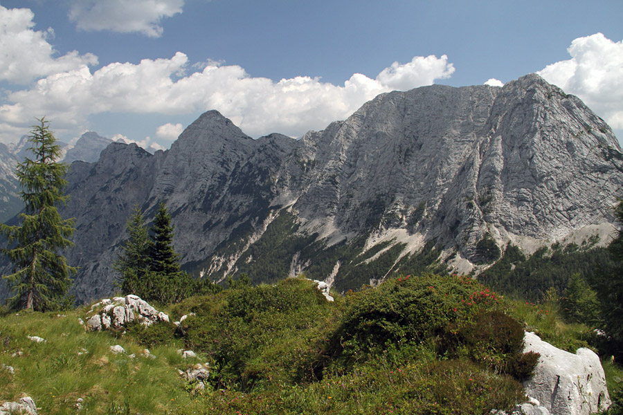 Trentski Pelc in Srebrnjak
Trentski Pelc in Srebrnjak s poti za Razorcem.
Ključne besede: trentski pelc srebrnjak za razorcem