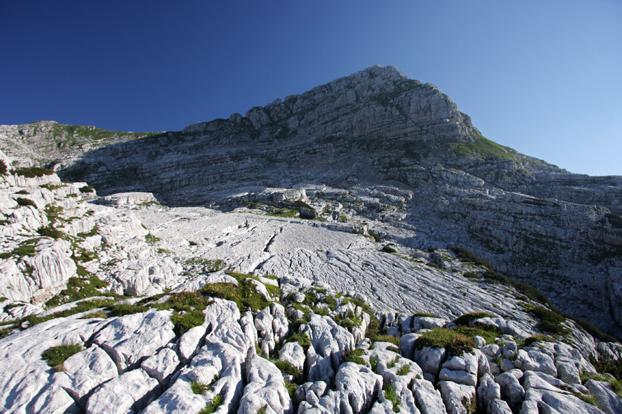 Plaski Vogel
Po napornem in zjutraj mokrem prebijanju skozi visoke trave iz planine Lopučnica pridemo na zelo škrapljast svet in takole se odpre pogled na Plaski Vogel. Eden od pristopov gre po travni polički pod vrhom (moja pot sestopa na Travnik), druga (moja pot pristopa) pa gre po travnem žlebu desno za sedlom. Greben med PV in Travnikom je rezerviran že bolj za plezalce.
Ključne besede: plaski vogel