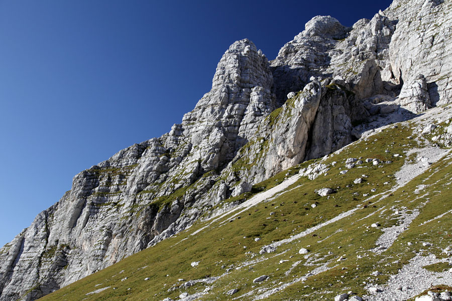 Paša pod vznožjem Nižjih vrhov
Kozorogi na paši pred Škrbino prednje špranje, pod vznožjem Nižjih vrhov.
Ključne besede: škbina prednje špranjene nižji vrhovi kozorog capra ibex