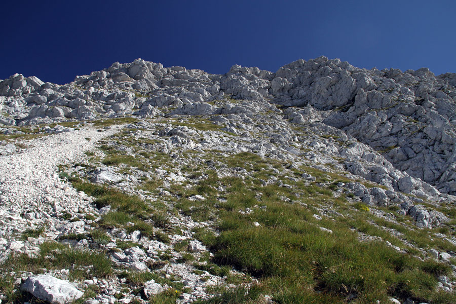 Pod Podrto goro
Južni pristop na Podrto goro.
Ključne besede: podrta gora