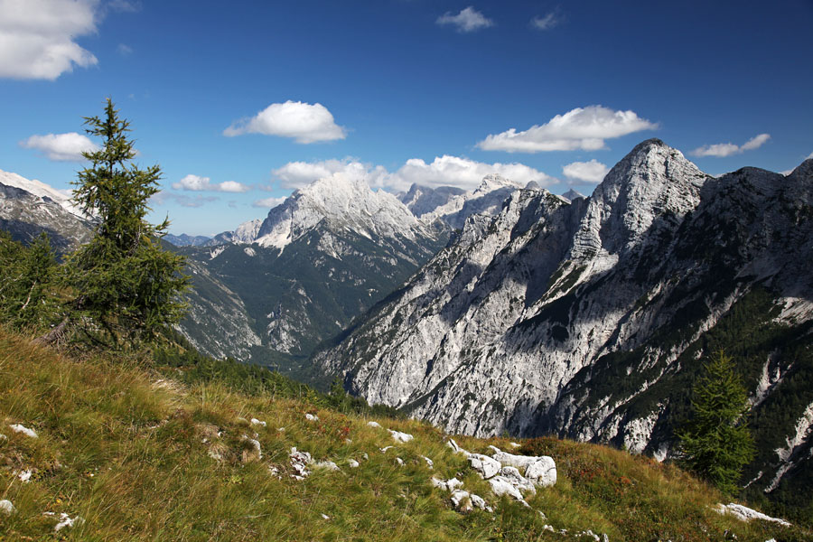 Trentski Pelc
Trentski Pelc in Prisank s poti Za Razorcem.
Ključne besede: trentski pelc za razorcem prisank prisojnik zadnja trenta