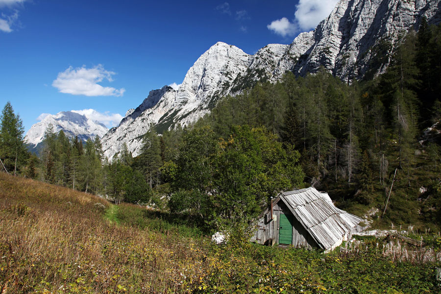 Zapotok
Pot Za Razorcem sva zapustila nad planino Zapotok. V planino sva se spustila po lovski poti skozi gozd. 
Ključne besede: planina zapotok zadnja trenta