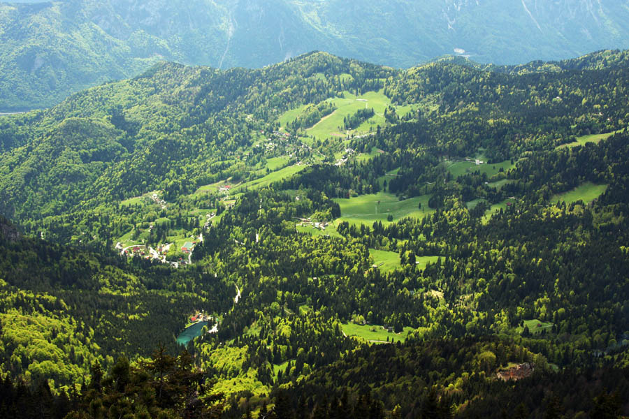 Javorniški rovt
Pogled na Javorniški rovt s poti na planino Seča.
Ključne besede: javorniški rovt planina seča