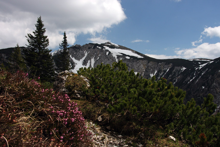 Pogled na Mali vrh
Pogled na Mali vrh s poti na planino Seča.
Ključne besede: mali vrh planina seča