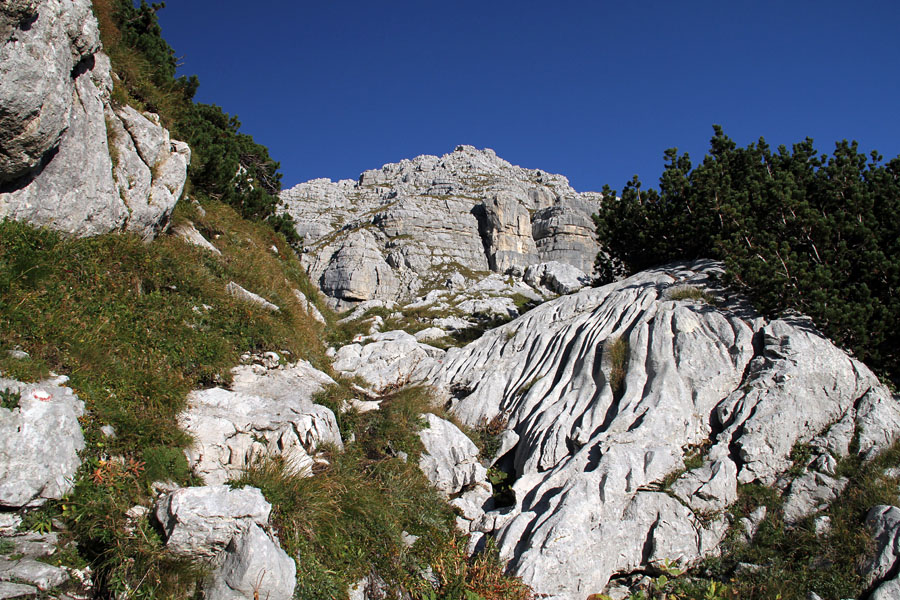 Na Veliko špičje
Del poti proti Velikemu špičju.
Ključne besede: veliko lepo špičje