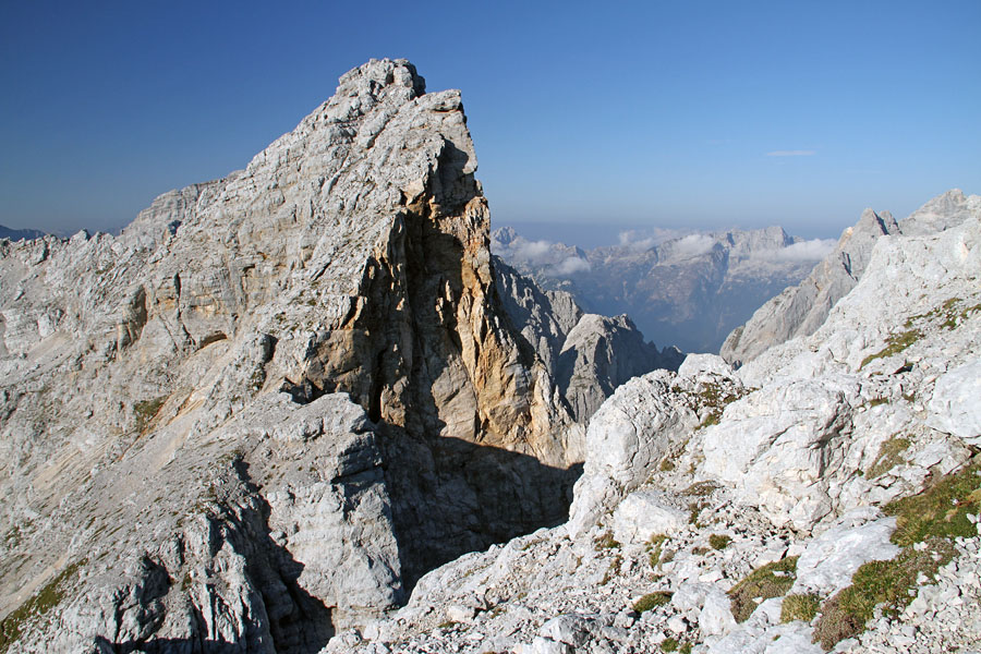 Dovški Gamsovec I.
Dovški Gamsovec z melišča pod Dolkovo špico.
Ključne besede: dovški gamsovec dolkova špica