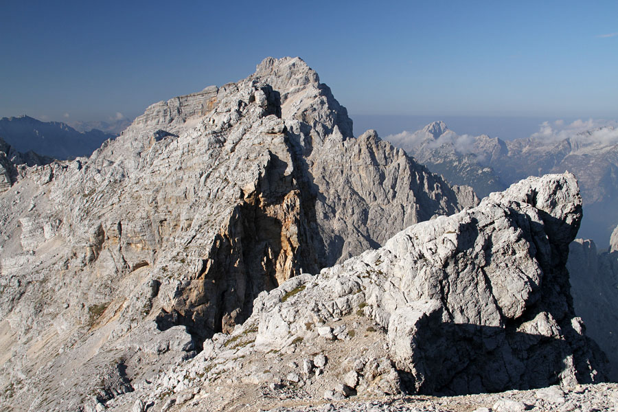 Dovški Gamsovec II.
Dovški Gamsovec z melišča pod Dolkovo špico.
Ključne besede: dovški gamsovec dolkova špica