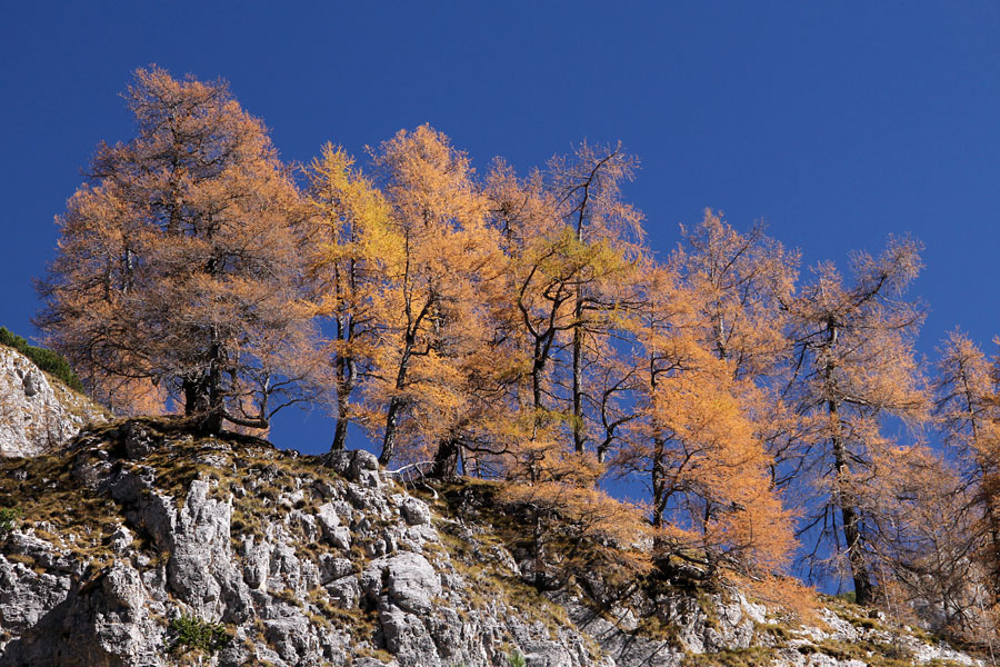 Nad planino Jezerce
Nad planino Jezerce.
Ključne besede: planina jezerce